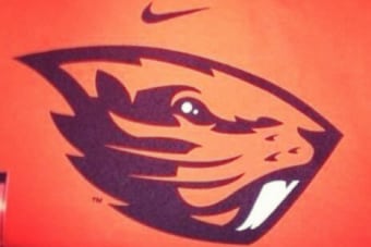 Logo Hysteria and a Trip to the Palouse