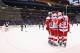 ST. LOUIS, MO - FEBRUARY 7: Members of the Detroit Red Wings celebrate a goal against the St. Louis Blues at the Scottrade Center on February 7, 2013 in St. Louis, Missouri. (Photo by Dilip Vishwanat/Getty Images)