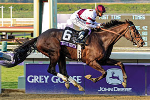 Royaldeltabreederscupladiesclassic2012ae298_crop_north