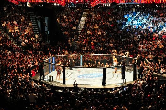 UFC Quick Quote: The UFC Will Never Be a Public Company