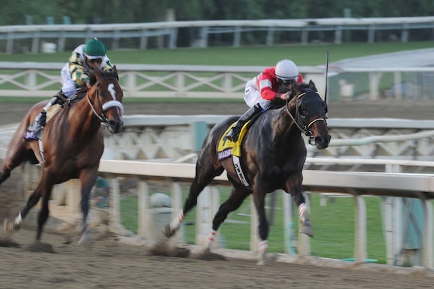 Unbeaten Violence Set for Fountain of Youth