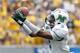 Aaron Dobson is set to become only the third person from West Virginia currently in the NFL.