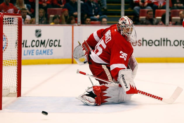 Red Wings Goalie Jimmy Howard Leaves with Blurry Vision