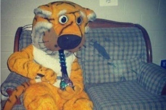 Here's Missouri's Mascot, Truman, Getting Cozy with a Bong