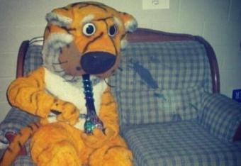 Missoumascot_crop_north