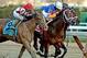 Normandy Invasion, on the outside, finishing second to Overanalyze. (photo via horseracing.about.com)