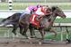 Orb edging Violence at the wire of the Fountain of Youth. (photo via Bloodhorse.com)