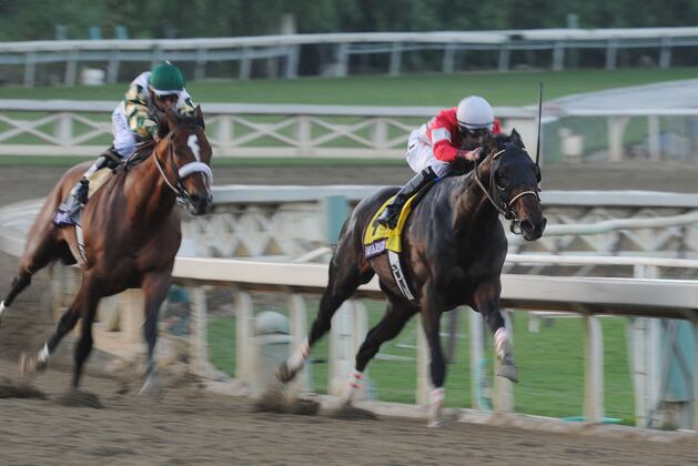 Celebrity Chef Named Co-Chair of Horse-Racing Task Force