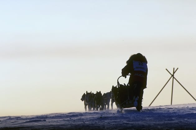 Iditarod 2013: Biggest Challenges Mushers Will Face in This Year's Race