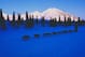 16 Mar 1999: A general view of team of dogs running through the rainy pass during the Iditarod Trail Race in Alaska. Mandatory Credit: Ezra O. Shaw /Allsport
