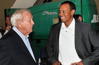Tigerpalmer_crop_north