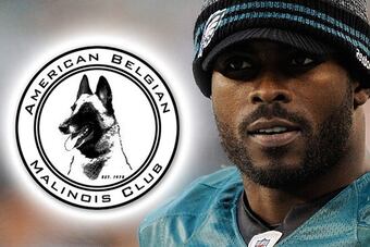 Vick_crop_north