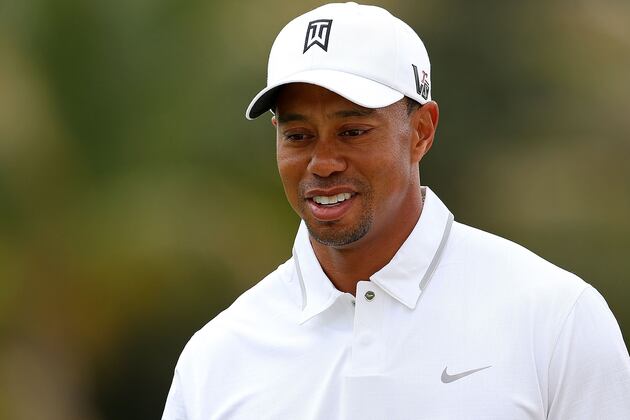 Agent Working on Tiger's 2014 Dubai Inclusion