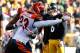 The Bengals could be set to take over the AFC North with other teams struggling to keep their rosters intact.