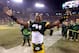 GREEN BAY, WI - JANUARY 05: Safety Charles Woodson #21 of the Green Bay Packers celebrates after the Packers 24-10 victory against the Minnesota Vikings in the NFC Wild Card Playoff game at Lambeau Field on January 5, 2013 in Green Bay, Wisconsin. (Photo by Andy Lyons/Getty Images)
