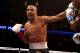 Andre Ward's speed and quickness make him a sensational fighter.