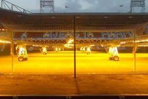 Perfect Pitch