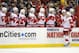 ST PAUL, MN - FEBRUARY 17: Damien Brunner #24 of the Detroit Red Wings celebrates scoring a goal during the first period of the game against the Minnesota Wild on February 17, 2013 at Xcel Energy Center in St Paul, Minnesota. (Photo by Hannah Foslien/Getty Images)