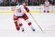 Brunner has fit in well with the Red Wings.
