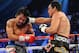 Dec 8, 2012; Las Vegas, NV, USA; Manny Pacquiao (Gray trunks) and Juan Manuel Marquez (Black/Green/Red trunks) box during their welterweight bout at MGM Grand Garden Arena. Juan Manuel Marquez won the fight by sixth round knockout. Mandatory Credit: Joe Camporeale-USA TODAY Sports