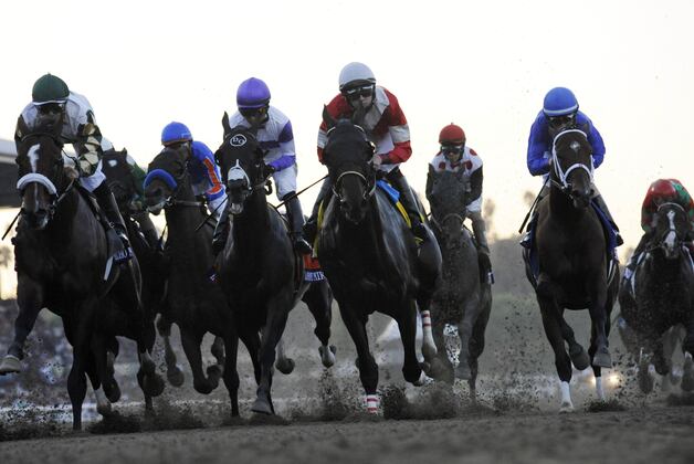 Bright Thought Sets Course Record in San Luis Rey