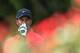 Tiger is eyeing his 8th Arnold Palmer Invitational Championship at Bay Hill.