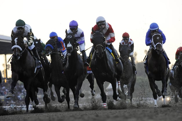Jockey McNamara Escapes Brain Damage