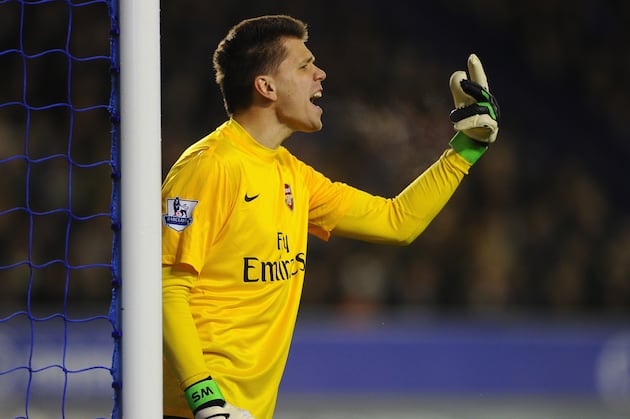Wojciech Szczesny Claims to See His Future at Arsenal