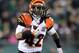 The middle rounds of the 2013 draft could be the perfect place for the Bengals to find an RB to pair with BenJarvus Green-Ellis.