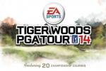 Highlighting Best Features of Tiger Woods PGA Tour 14