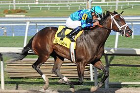 Live Lively Puts in Gulfstream Oaks Breeze