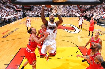 Bulls_crop_north
