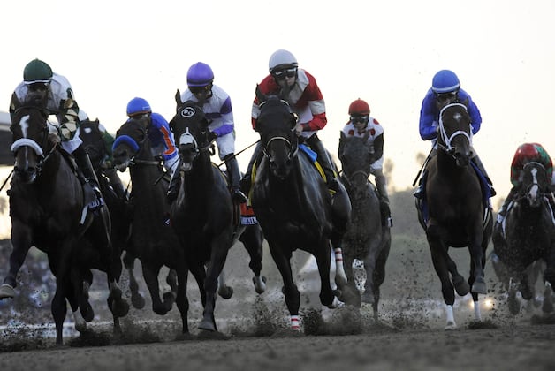 Cheltenham Plans $68 Million Upgrade
