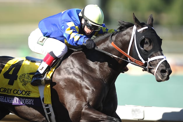 Florida Derby 2013: Breaking Down Favorites to Win at Gulfstream Park