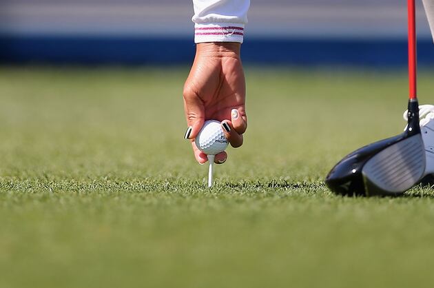 Police: Minn. Man Stole $1,300 in Golf Balls