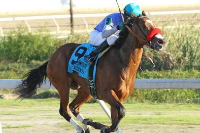 O'Neill Tries Tactical Change for Goldencents