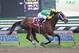 Photo via kentuckyderby.com