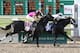 Revolutionary wins the 2013 Louisiana Derby (Photo courtesy of KentuckyDerby.com)
