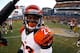 PITTSBURGH, PA - DECEMBER 23: Terence Newman #23 of the Cincinnati Bengals celebrates a 13-10 victory over the Pittsburgh Steelers at Heinz Field on December 23, 2012 in Pittsburgh, Pennsylvania. (Photo by Gregory Shamus/Getty Images)