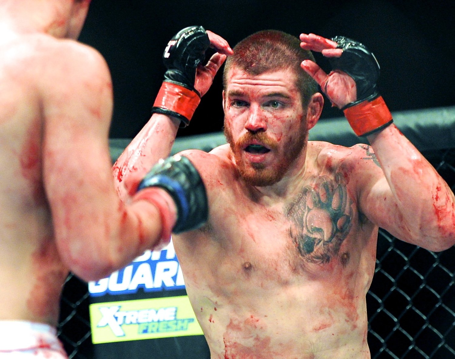 Power Ranking the Best MMA Fighters at Rebounding After Losses