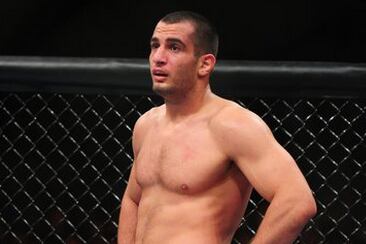 Gegard Mousasi Plans to Hit Alexander Gustafsson Where He Is Cut