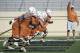 mackbrown-texasfootball.com
