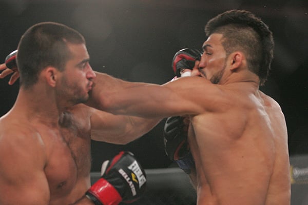 Mma forex reviews