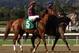 Hear the Ghost (photo by horseracingnation.com)