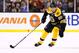 Jaromir Jagr