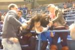 Drunk Girl Fights Old Man at Blue Jays Game