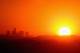 Sun setting in Los Angeles, Calif.