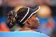 Jan 18, 2013; Melbourne, AUSTRALIA; Venus Williams (USA) during her match against Maria Sharapova (RUS) on day five of the 2013 Australian Open at Melbourne Park. Mandatory Credit: Pierre Lahalle/Presse Sports via USA TODAY Sports