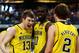ARLINGTON, TX - MARCH 31: Matt Vogrich #13, Tim Hardaway Jr. #10 and Spike Albrecht #2 of the Michigan Wolverines celebrate their 79 to 59 win over the Florida Gators during the South Regional Round Final of the 2013 NCAA Men's Basketball Tournament at Dallas Cowboys Stadium on March 31, 2013 in Arlington, Texas. (Photo by Tom Pennington/Getty Images)