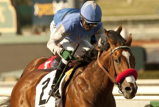 Goldencents1-57_crop_north